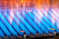 Burshill gas fired boilers